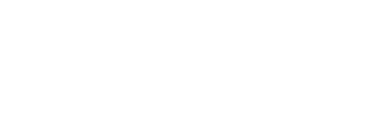 NIE-Logo-n